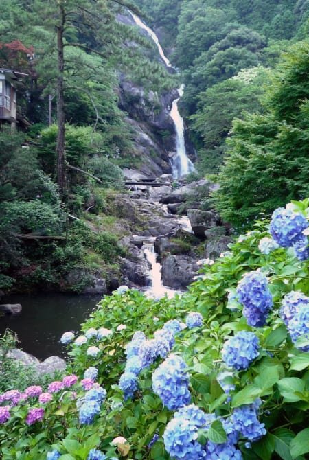 🏞️ 가와카미 협곡 (카와카미쿄) 이미지 8